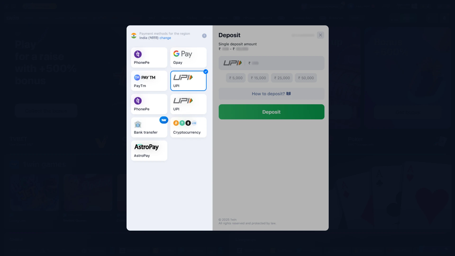 Select one of the available payment options.